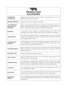 GLOSSARY