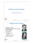 Derivation of Hodgkin-Huxley formalism for cardiac cells.