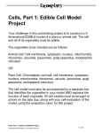 Cells, Part 1: Edible Cell Model Project