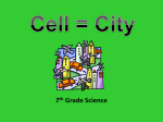 Cell = City - Ms. Feffer 6th and 7th Grade Science