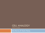 CELL ANALOGY Mia Murray &amp; Taylor Haney ANALOGY TO A SCHOOL