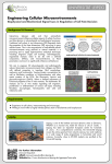 Engineering Cellular Microenvironments