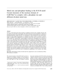 Metal ions and phosphate binding in the HNH motif: Crystal