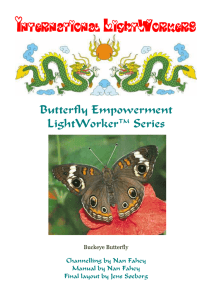 LW Butterfly Empowerment (Nan Fahey) 070410