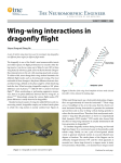 Wing-wing interactions in dragonfly flight