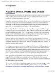 "Nature`s Drone, Pretty and Deadly".