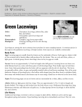 Green Lacewings - University of Wyoming Extension