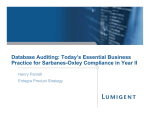 Enterprise Data Auditing with Lumigent® Entegra™