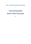 Teiid Embedded Quick Start Example
