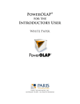 PowerOLAP Whitepaper PDF