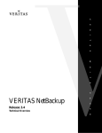 VERITAS NetBackup™