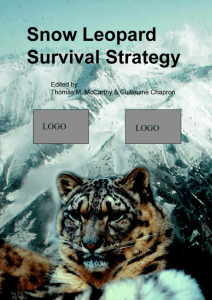 Snow Leopard Network