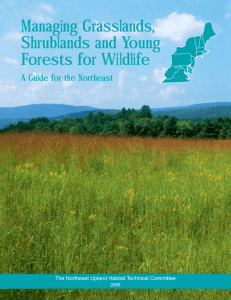 Managing Grasslands, Shrublands and Young Forests for Wildlife