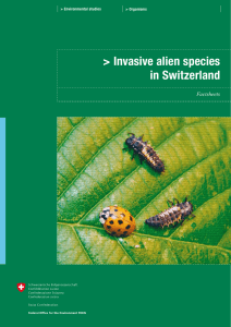 Invasive alien species in Switzerland. Factsheets