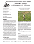 Prairie Dog Ecology and Management in Oklahoma