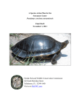 A Species Action Plan for the Suwannee Cooter