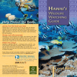 Hawai`i Wildlife Watching Guide