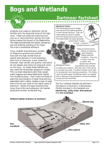 Bogs and Wetlands Factsheet