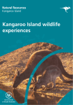 Kangaroo Island wildlife experiences
