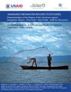 Characterization of the Region of the Terminos Lagoon: Campeche