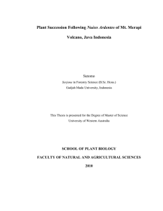 Plant Succession Following Nuèes Ardentes of Mt. Merapi Volcano