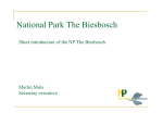 National Park The Biesbosch