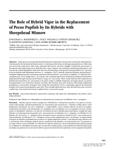 The Role of Hybrid Vigor in the Replacement of