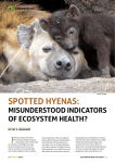 "SPOTTED HYENAS: MISUNDERSTOOD INDICATORS OFF
