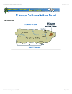 El Yunque Caribbean National Forest