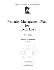 Fisheries Management Plan for Leech Lake 2016