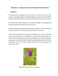 Attachment 1 Summary of Huntsman Site Biodiversity Action