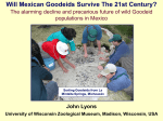Will Mexican Goodeids survive the 21st century? The alarming