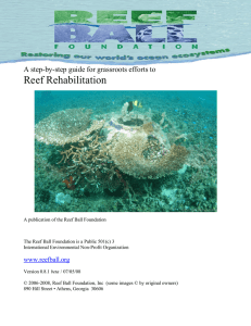 Step By Step Guide To Reef Rehabilitation
