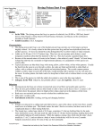 Dyeing Poison Dart Frog