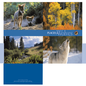 Places for Wolves - Defenders of Wildlife