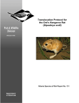 Translocation Protocol for the Ord`s Kangaroo Rat