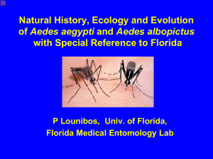 Natural History, Ecology and Evolution of Aedes aegypti and Aedes