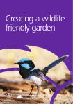 Creating a wildlife friendly garden