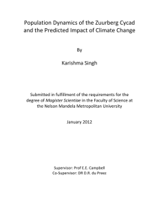 Population Dynamics of the Zuurberg Cycad and the Predicted