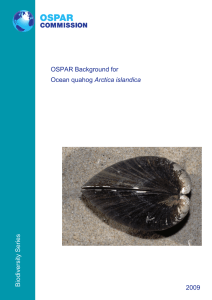 OSPAR background document on Ocean quahog Arctica islandica