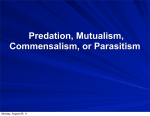 Predation, Mutualism, Commensalism, or Parasitism
