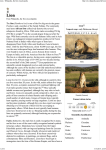 Lion - Wikipedia, the free encyclopedia