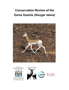 Conservation review of the dama gazelle