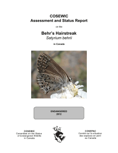 COSEWIC assessment and status report on the Behr`s Hairstreak