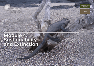Module 4: Sustainability and Extinction
