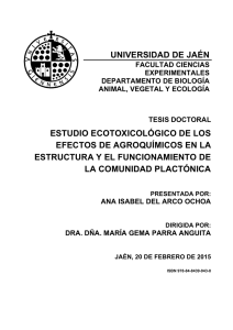 introduction - RUJA - Universidad de Jaén