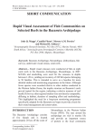 SHORT COMMUNICATION Rapid Visual Assessment of