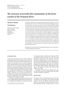 The structure of juvenile fish communities in the lower reaches of the