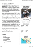 Common chimpanzee - Wikipedia, the free encyclopedia