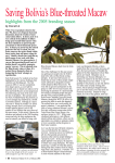Saving Bolivia`s Blue-throated Macaw